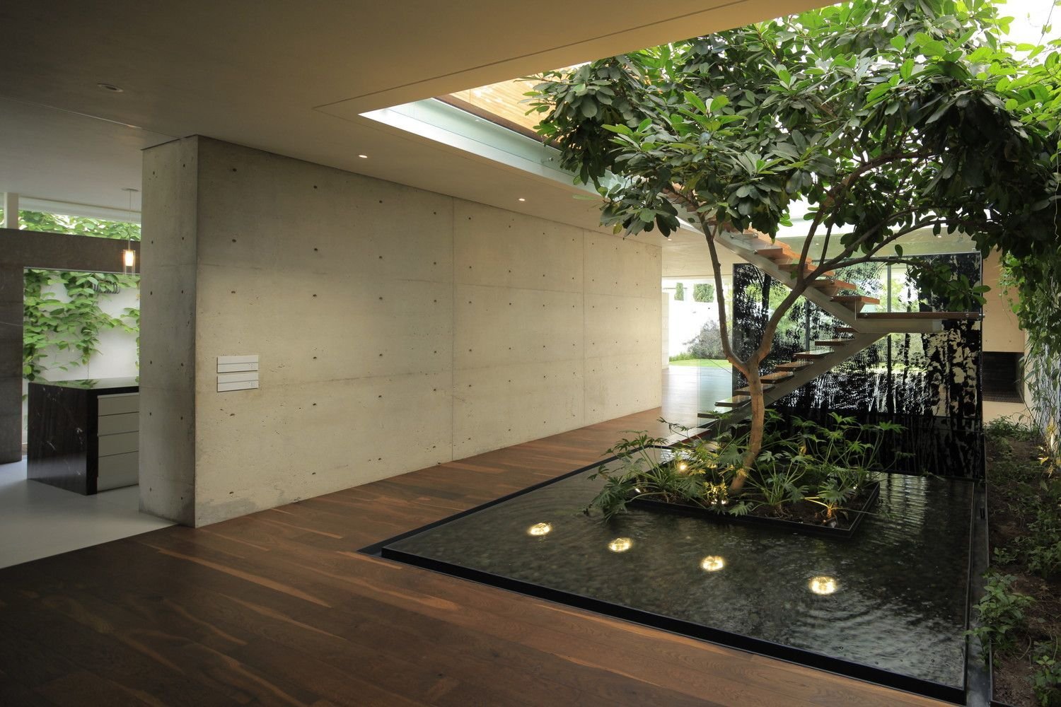 "Biofilm Design: Revolutionizing Contemporary Spaces"