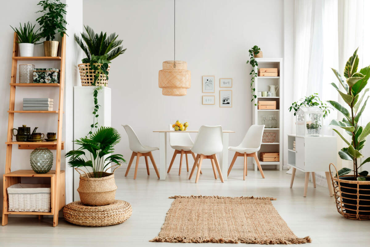 "Interior Design Basics: Transformative Home Decor"