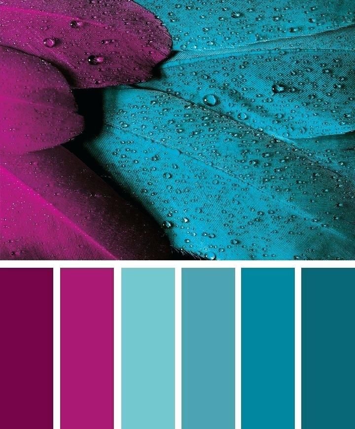 Color Palette Inspiration