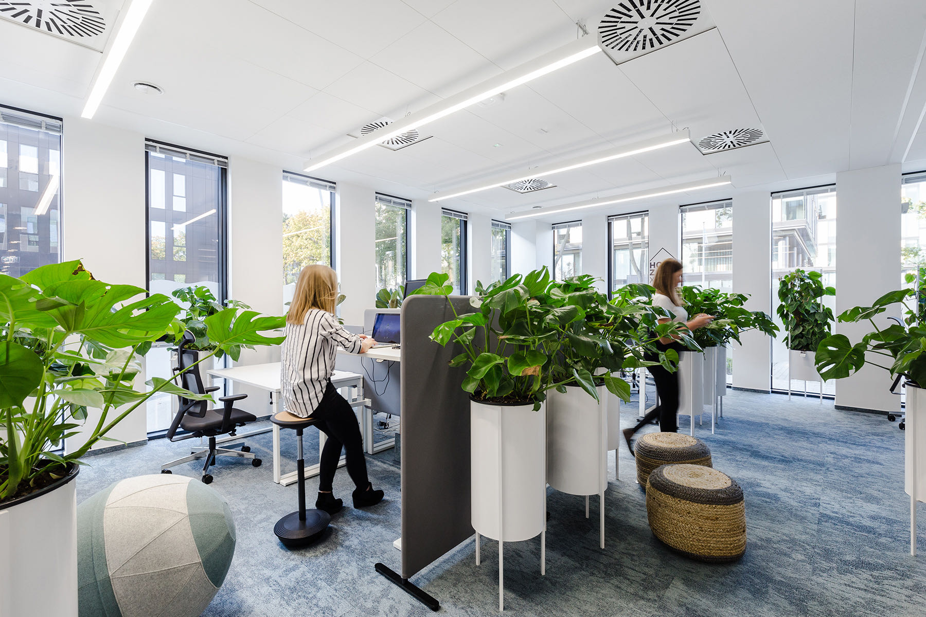Green office spaces