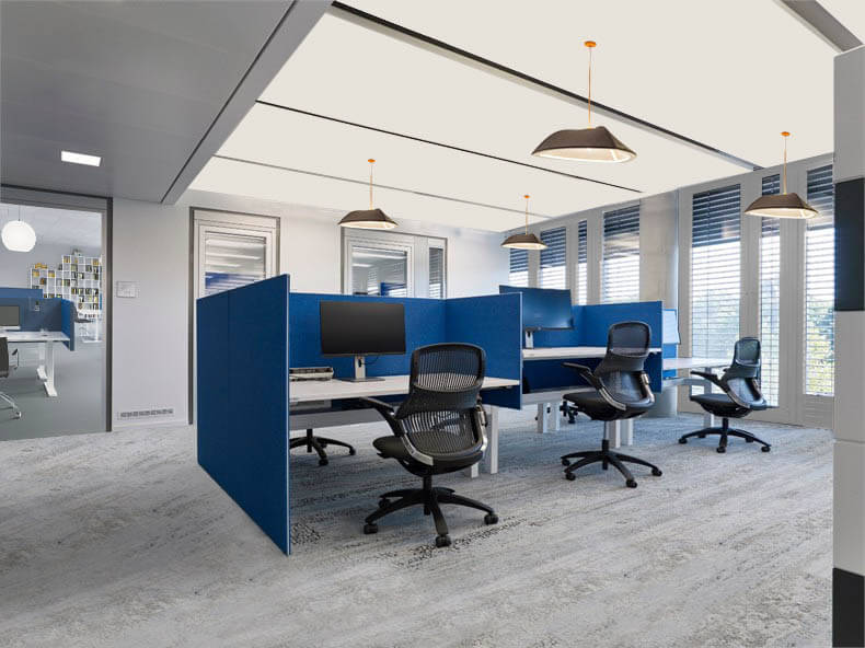 Office Noise Reduction: Strategies for a Quieter Workspace